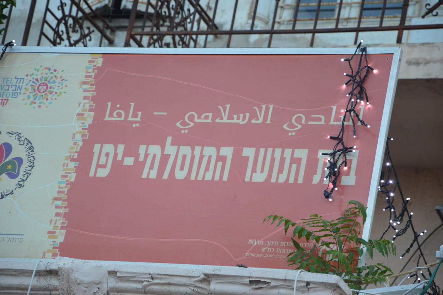 WhatsApp Image 2019-06-05 at 10.10.15 PM (2).jpeg.jpeg